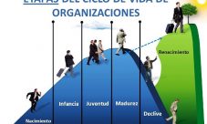 Ciclo de vida de las organizaciones