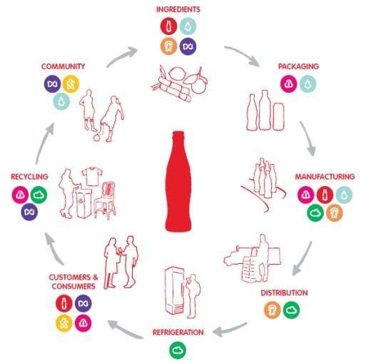 Ciclo de vida de la Coca Cola